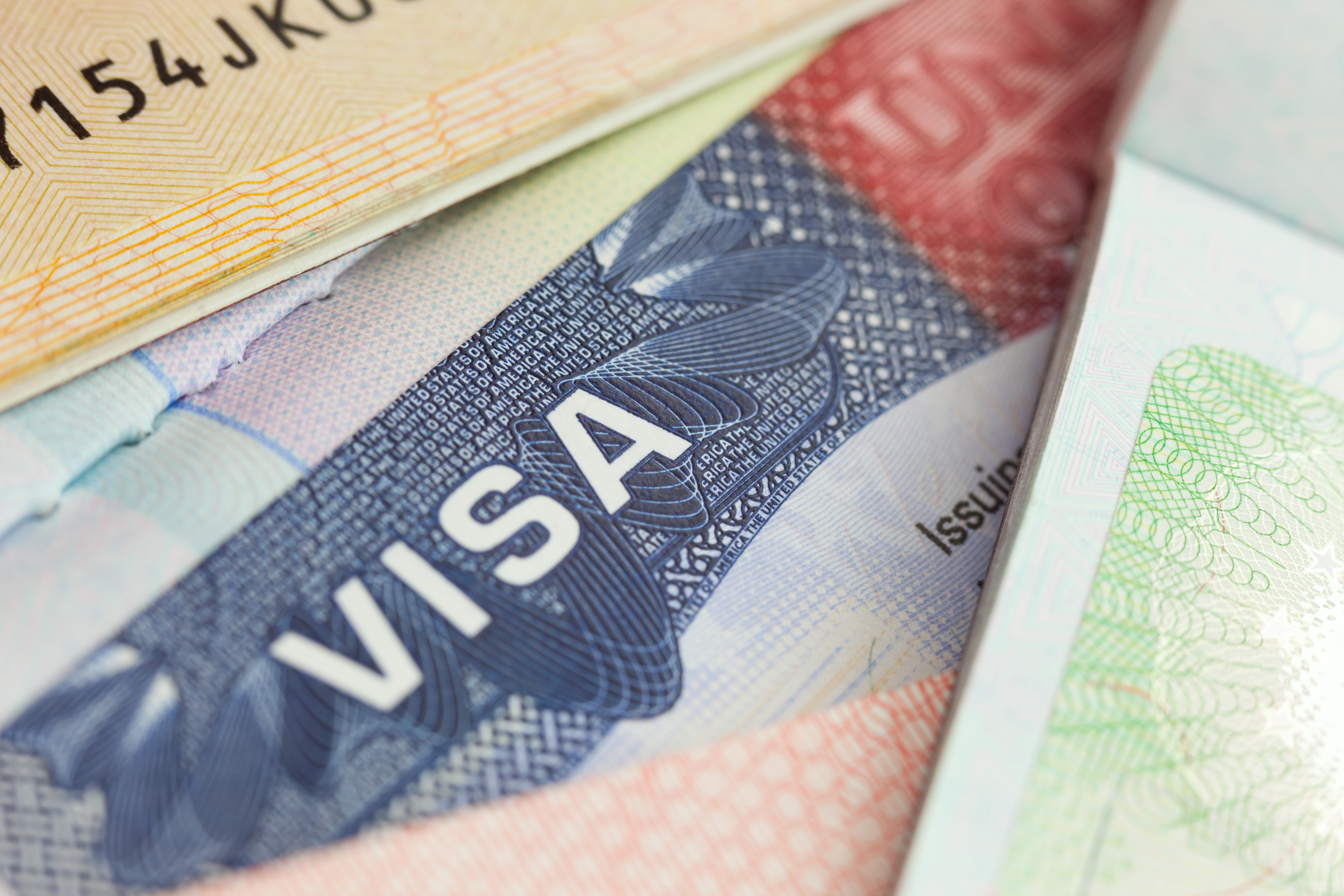 Immigration visa consultant HTML5 Template